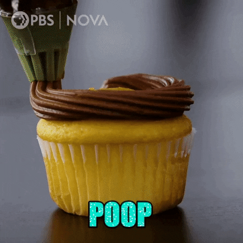 Health Poop GIF by PBS Digital Studios