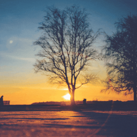Setting Sun Orange GIF by subtlestrokes