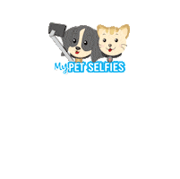 My Pet Selfies Sticker