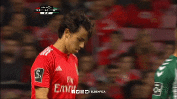 frustrated sl benfica GIF by Sport Lisboa e Benfica