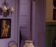 Season 1 Cant Unsee GIF by Friends