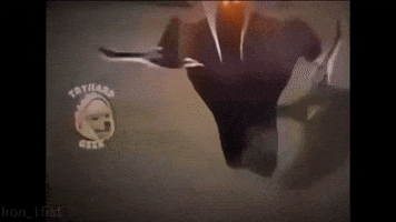 Mobile Legends Cat GIF