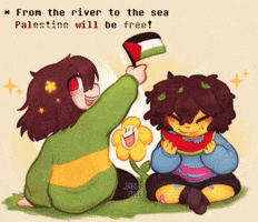 Peace Israel GIF