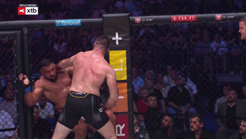 Knockout Mma GIF