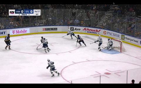 Dominik-hasek GIFs - Get the best GIF on GIPHY