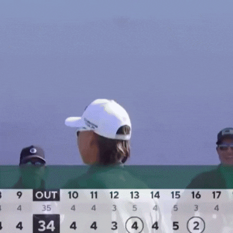 GIF by Minnesota Vikings