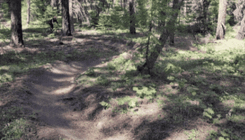 Evergreen Mountain Bike Alliance GIF