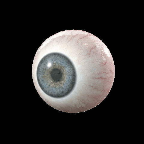 anamariarojasl blue white eyes eye GIF