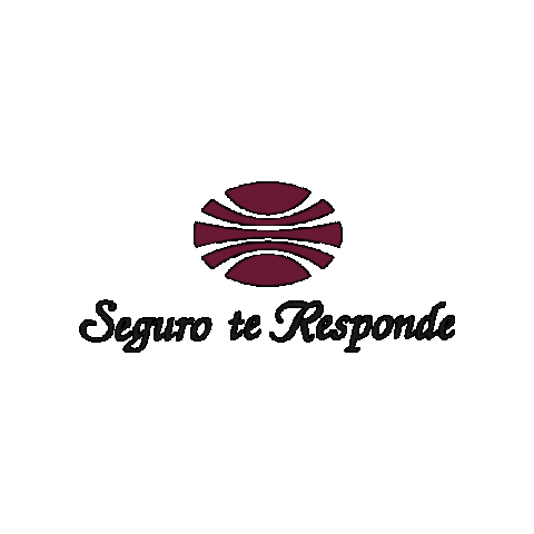 Panama Insurance Sticker by Aseguradora Ancón