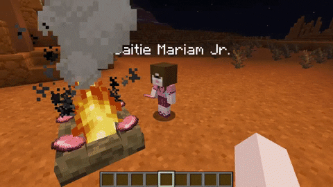 Roamers Minecraft Mod