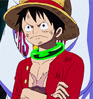 One Piece Anime Boy GIF