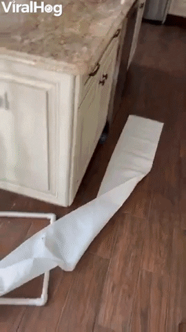Boxer Puppy Makes Mess Of Paper Towels GIF by ViralHog