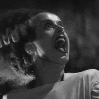 bride of frankenstein horror movies GIF by absurdnoise