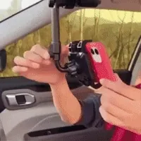 GIF Animado