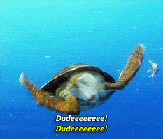 movie film disney ocean turtle