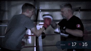 rooq_boxing boxing punching rooq speed punch GIF