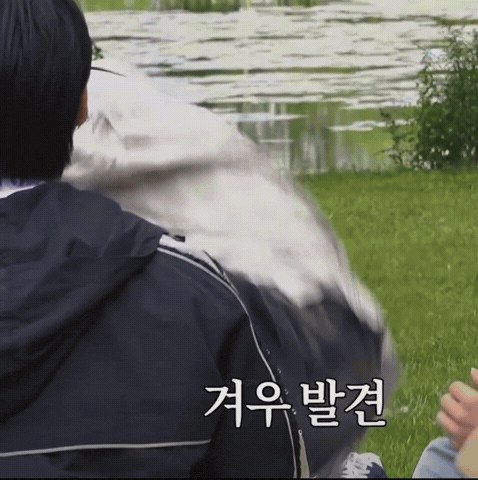 Fall Running GIF