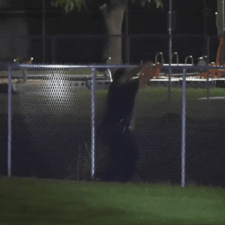 Police Falling GIF by Respective