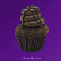Chocolate Frosting Cupcake GIF by Timothy Jay Sweets
