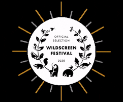 Wildscreen wildlife film festival wildscreen wildscreen filmfestival GIF