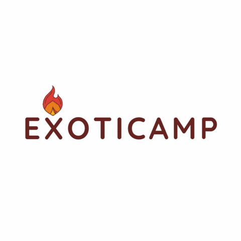 GIF by Exoticamp