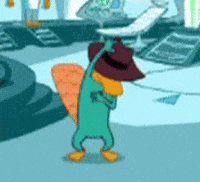 wallpapers Perry The Platypus Gif Transparent giphy