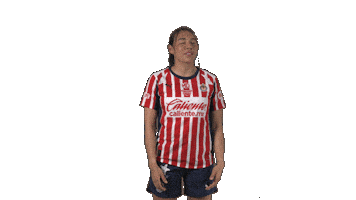 Liga Mx Futbol Sticker by Chivas Oficial