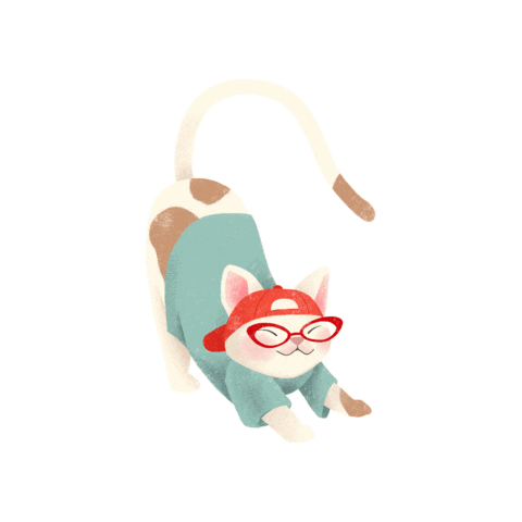 Cat Sticker