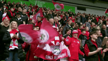 Red Army Fans GIF by Cliftonville Football Club