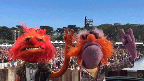 Animal-the-muppets GIFs - Get the best GIF on GIPHY