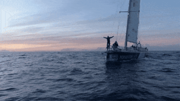 Boat Sailing GIF by Clipper Round the World Yacht Race