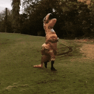 rlx golf gifs get