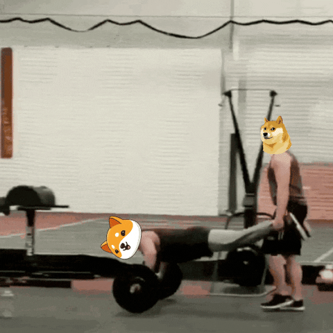 Money Workout GIF by Baby Doge Coin
