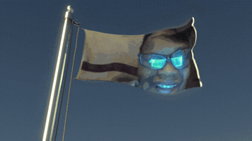 Flag Joe GIF