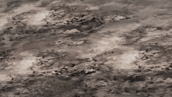 Fight GIF