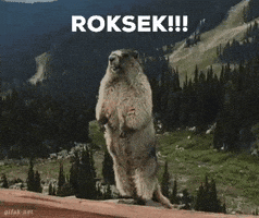 Roksek GIF