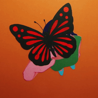 Butterfly GIFs - Get the best GIF on GIPHY