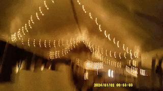 Dance Wedding GIF