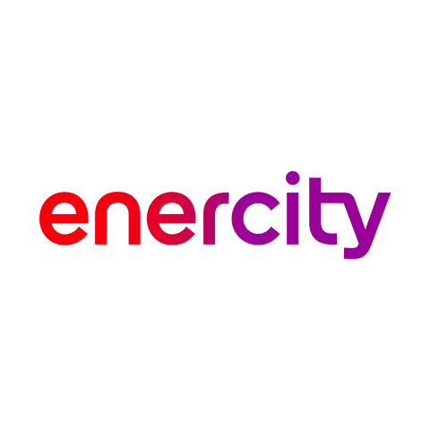 Logo Wärme GIF by enercity