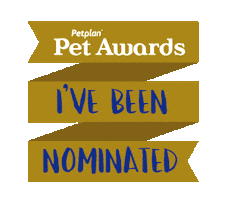 Winner Trophy Sticker by Petplan