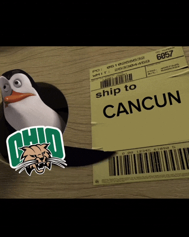 Miami University Redhawks GIF