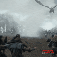 Dragon GIF by Dungeons & Dragons: Honor Among Thieves