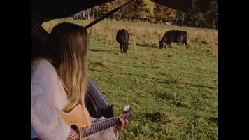 Cows Jamming GIF by Visionary Music Group