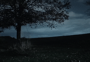 Music Video Running GIF by Mother Mother