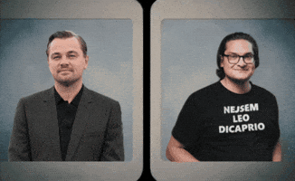 Leonardo Dicaprio Leo GIF