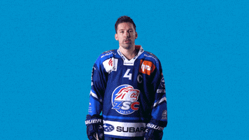 Baltisberger Geering GIF by ZSC Lions