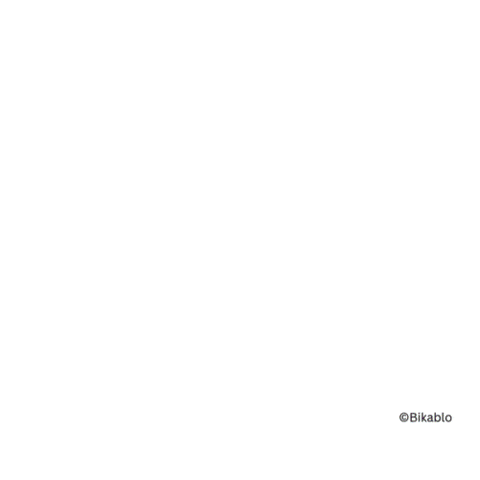 LESEMENTOR Bundesverband GIF