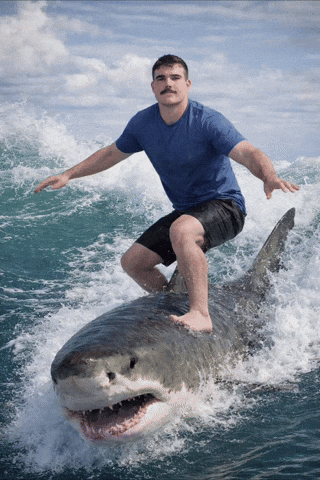 Bode Adams GIF
