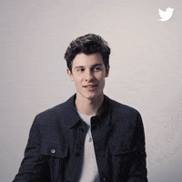Shawn Mendes Peace GIF by Twitter