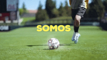 Soccer Newmexico GIF by New Mexico United